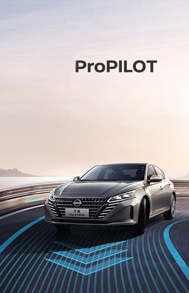 e2ca116102b8b9486724fa0cd10fd7dd_proPilotMain.jpg